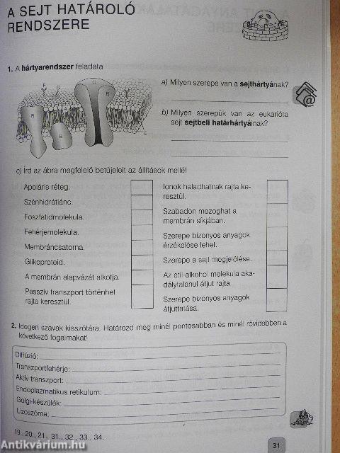 Biológia 11. Munkafüzet