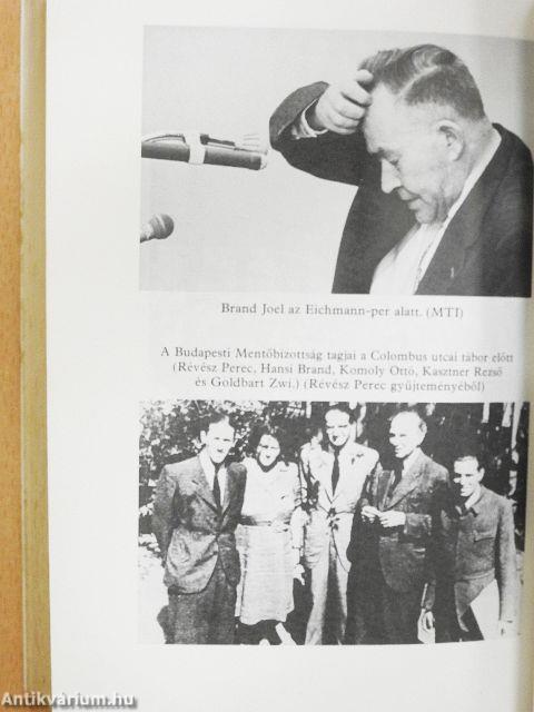 Kollaboráció vagy kooperáció?