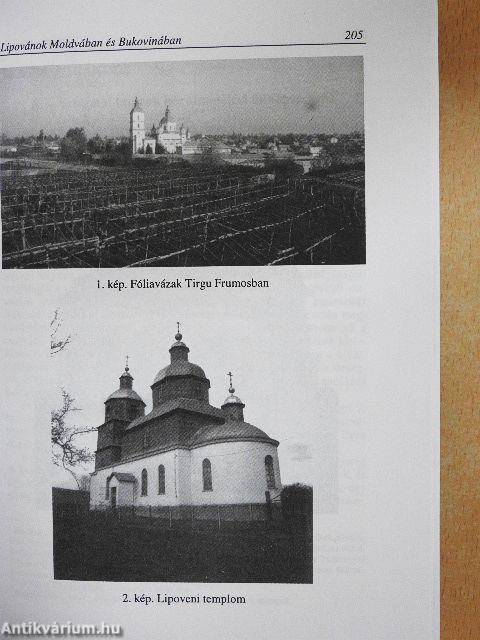 Múzeumi kutatások Csongrád megyében 2002