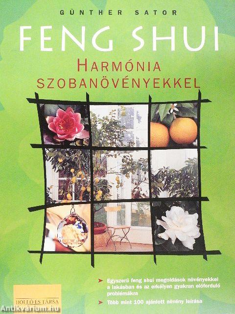 Feng shui - Harmónia szobanövényekkel
