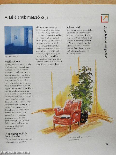 Feng shui - Harmónia szobanövényekkel