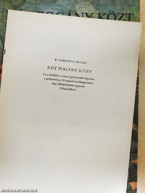 Két pogány közt