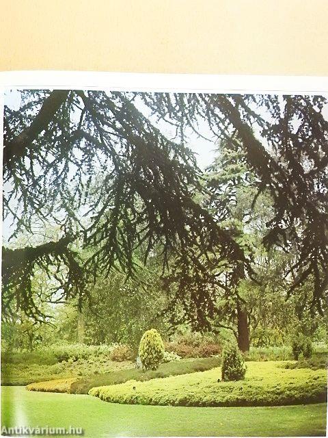 A kert élő díszei