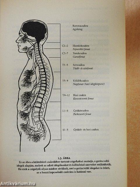 A csakrák bölcsessége