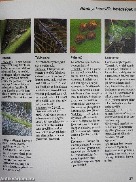 Öntözés, tápanyagpótlás, átültetés