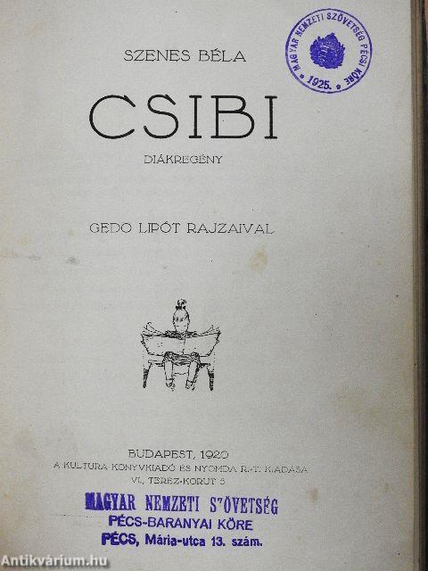 Csibi