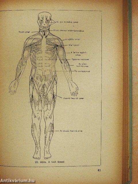 Biológiai és élettani alapismeretek II.