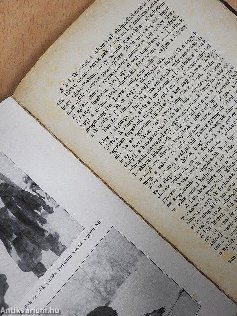 Kamcsatka ősnépei, vadállatai és tűzhányói között