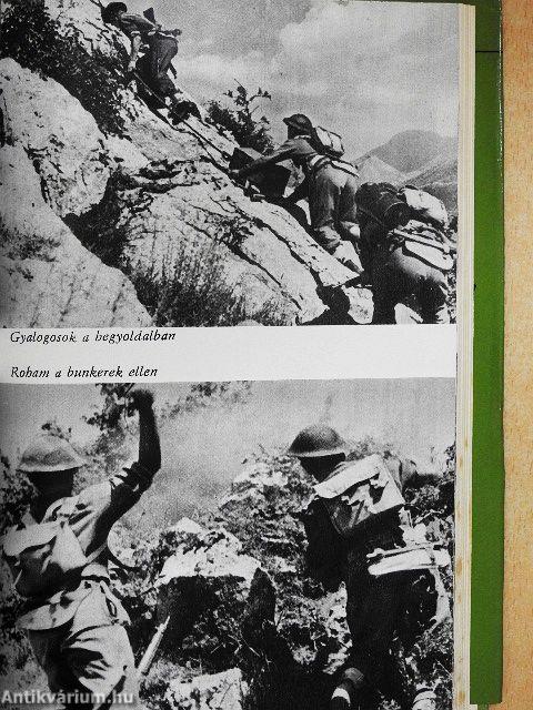 A Monte Cassinó-i csata