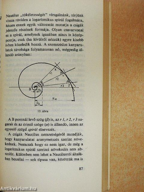 Az aranymetszés legendája