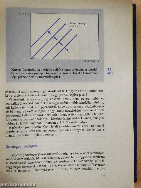 Mikroökonómia középfokon