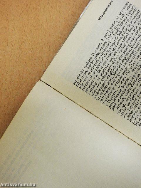 Beszélgetések Picassóval