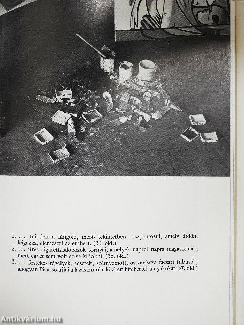 Beszélgetések Picassóval