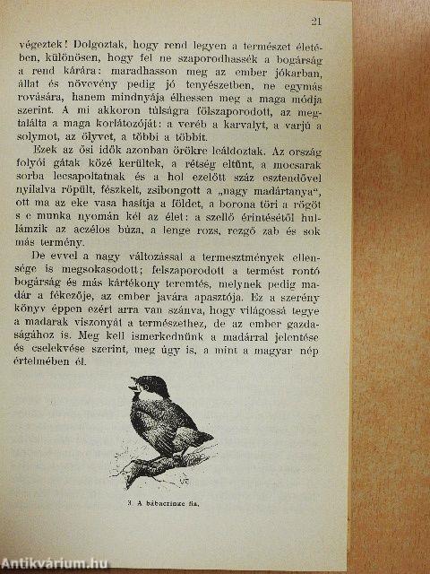 A madarak hasznáról és káráról