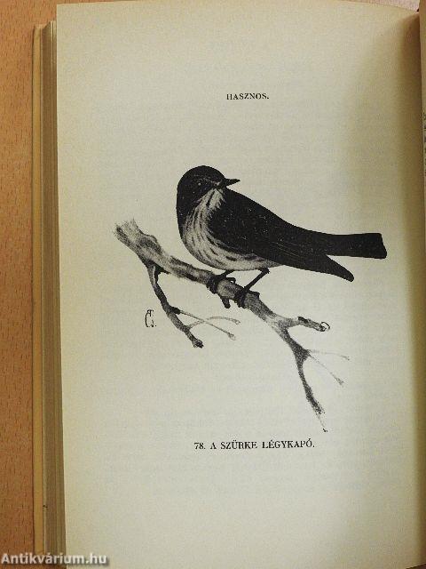 A madarak hasznáról és káráról