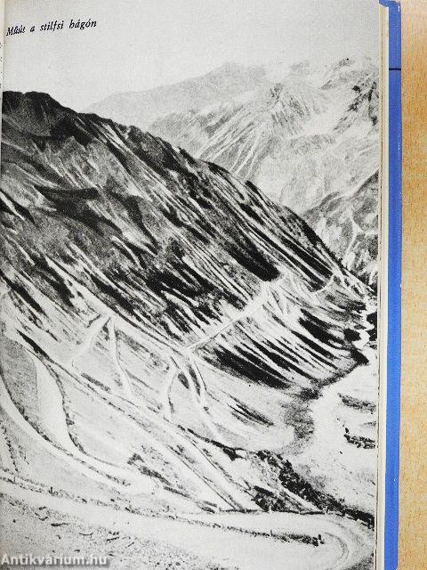 Doberdo, Isonzo, Tirol