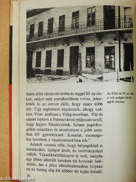 Így élt József Attila