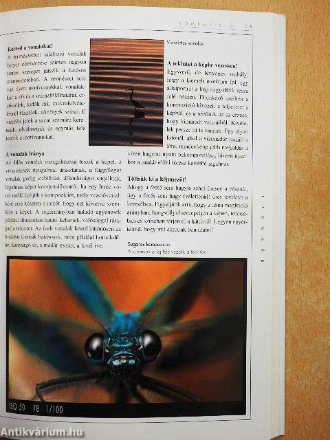 Makrofotózás és Teleobjektíves fényképezés