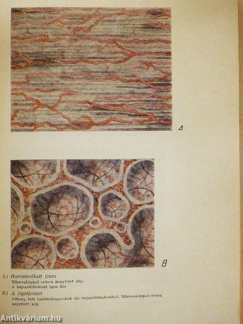Neveljünk egészséges életmódra!