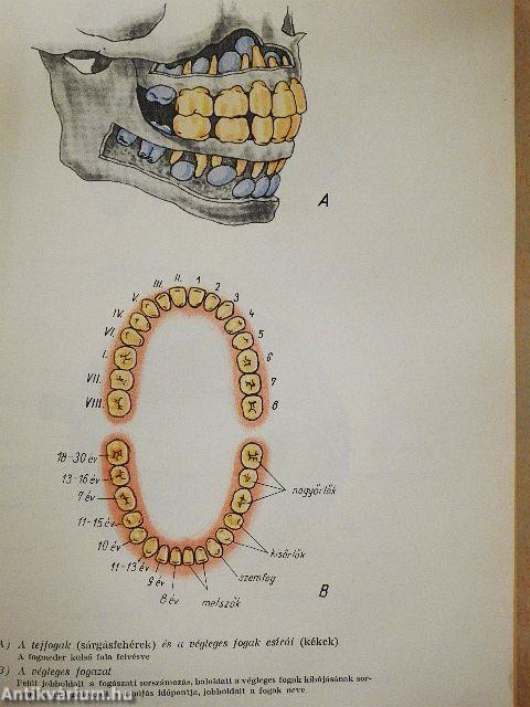 Neveljünk egészséges életmódra!