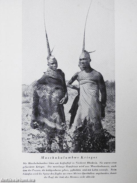 Abenteuer in Afrika (gótbetűs)