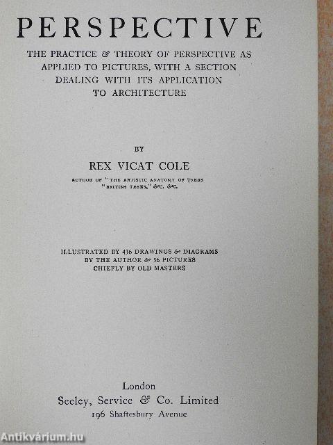 Perspective as applied to pictures