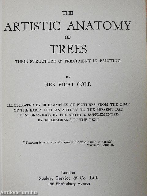 The artistic anatomy of trees
