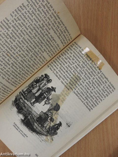 A teljes Nagy Robinson