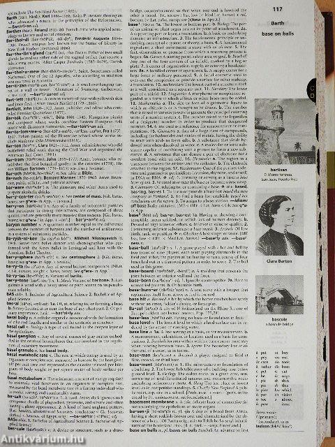 The American Heritage College Dictionary