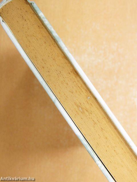 Ádám, hol voltál?