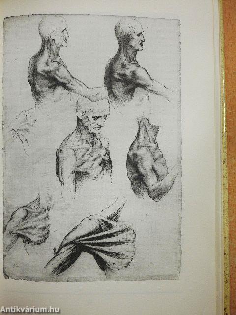 Tudomány és művészet