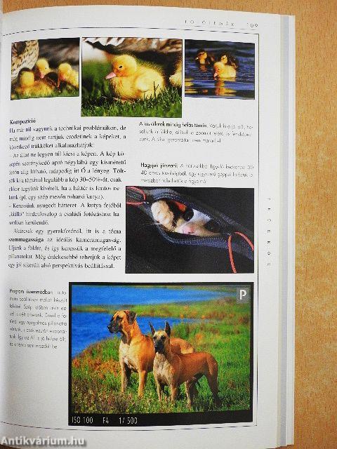 A digitális fotózás műhelytitkai kezdőknek