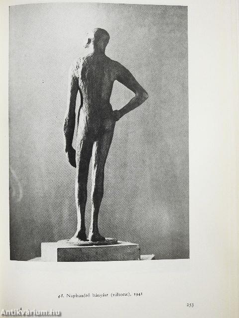 Bokros Birman Dezső önéletrajza, levelezése, művei