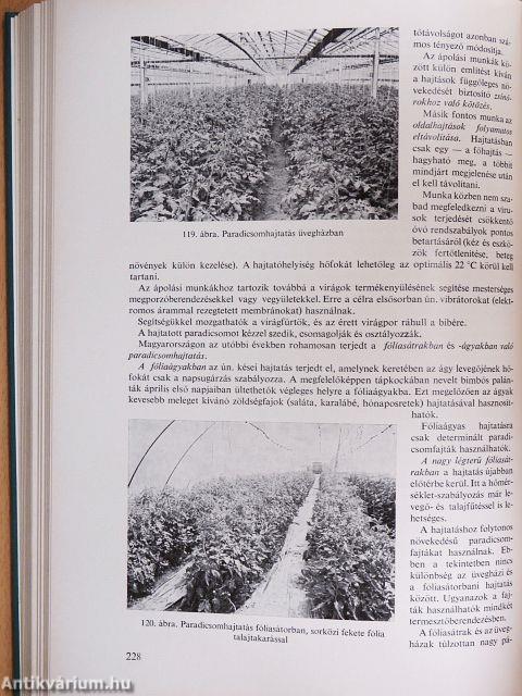 Zöldségtermesztés