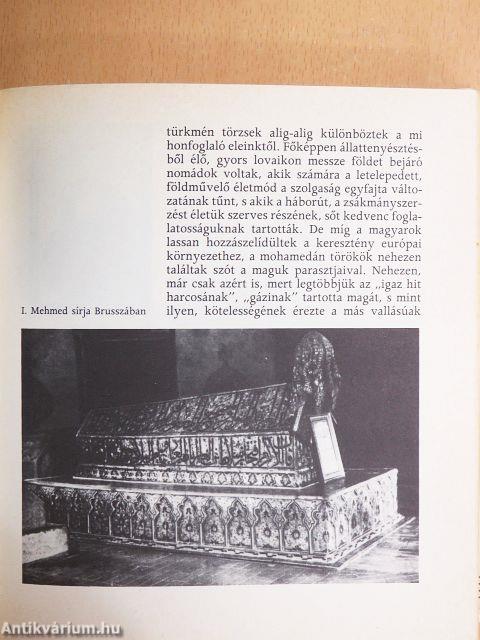 Nándorfehérvár, 1456