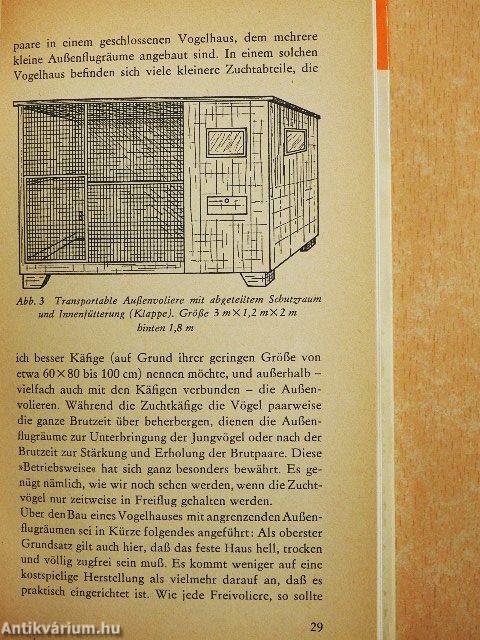 Sprechkünstler Wellensittich
