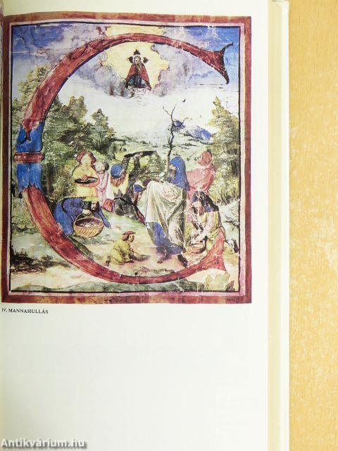 Bibliai történetek