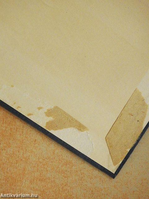 Beethoven hegedűművei