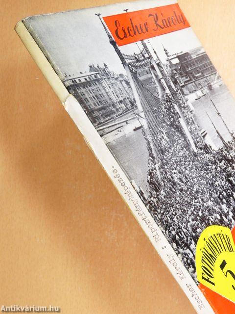 Riportfényképezés