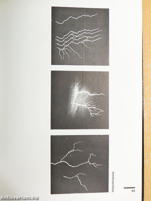 Festészet, fényképészet, film