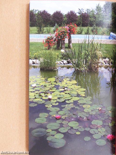 Hódmezővásárhely és környéke