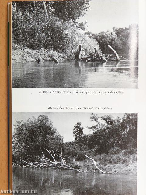 Horgászoknak a Tiszáról