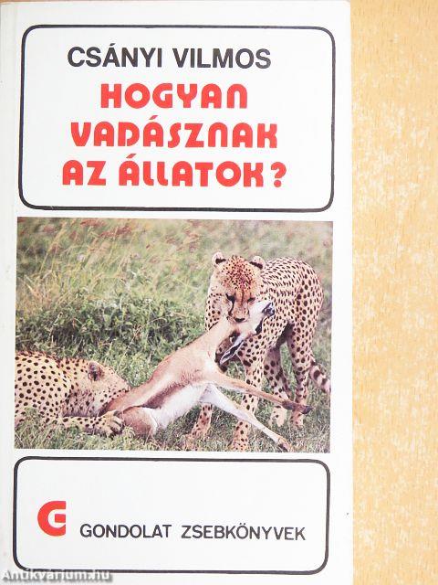 Hogyan vadásznak az állatok?
