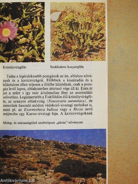 Legendás növények