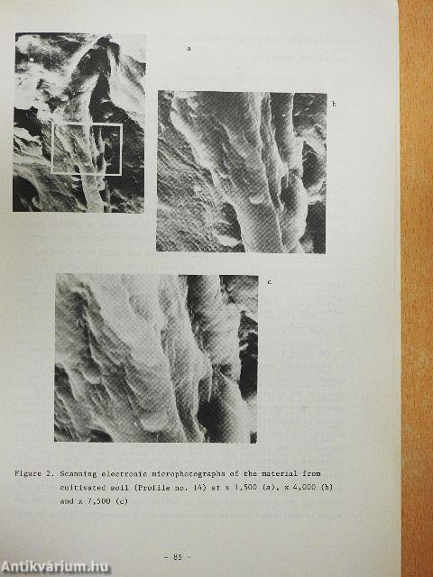 Proceedings of the ISSS symposium on water and solute movement in heavy clay soils