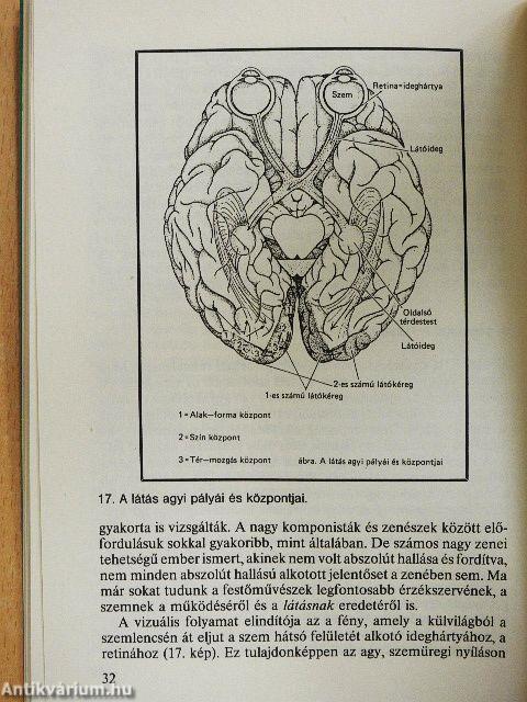A kivételes tehetség hasznáról és káráról