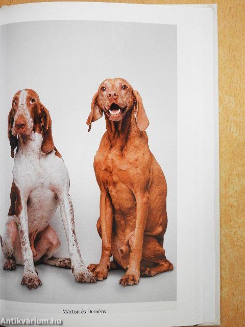 Demény - Nektek ugatok