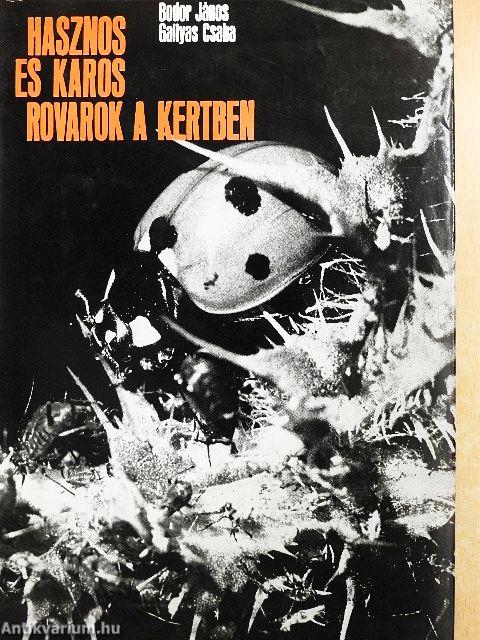 Hasznos és káros rovarok a kertben