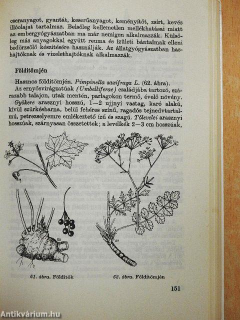 Gyógyító növények