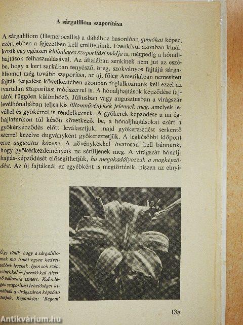 Növények kiskerti szaporítása